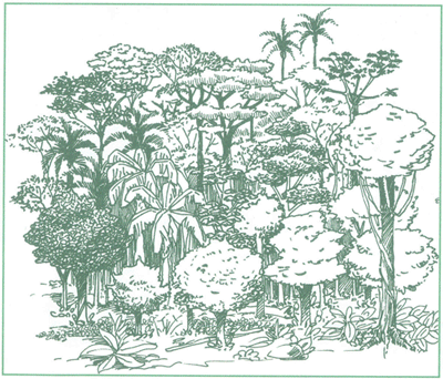 EDUCACI&Oacute;N AMBIENTAL PARA EL TR&Oacute;PICO DE COCHABAMBA
