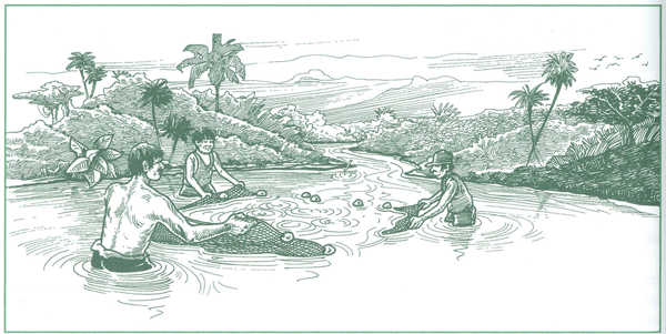 EDUCACI&Oacute;N AMBIENTAL PARA EL TR&Oacute;PICO DE COCHABAMBA