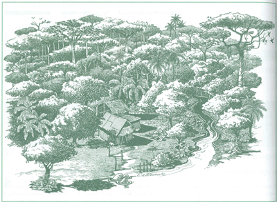 EDUCACI&Oacute;N AMBIENTAL PARA EL TR&Oacute;PICO DE COCHABAMBA