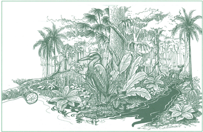 EDUCACI&Oacute;N AMBIENTAL PARA EL TR&Oacute;PICO DE COCHABAMBA