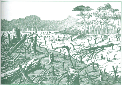 EDUCACI&Oacute;N AMBIENTAL PARA EL TR&Oacute;PICO DE COCHABAMBA