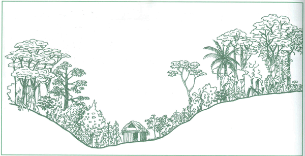 EDUCACI&Oacute;N AMBIENTAL PARA EL TR&Oacute;PICO DE COCHABAMBA