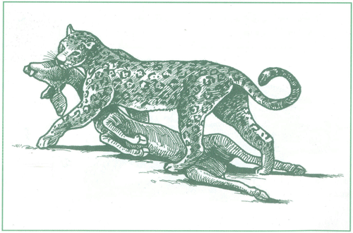 EDUCACI&Oacute;N AMBIENTAL PARA EL TR&Oacute;PICO DE COCHABAMBA