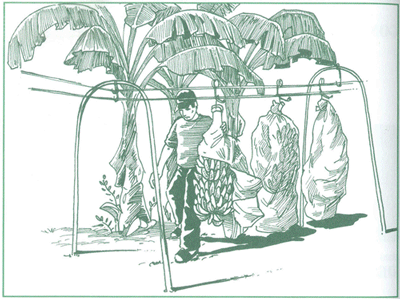 EDUCACI&Oacute;N AMBIENTAL PARA EL TR&Oacute;PICO DE COCHABAMBA