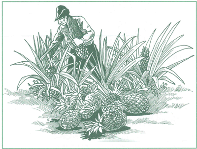 EDUCACI&Oacute;N AMBIENTAL PARA EL TR&Oacute;PICO DE COCHABAMBA