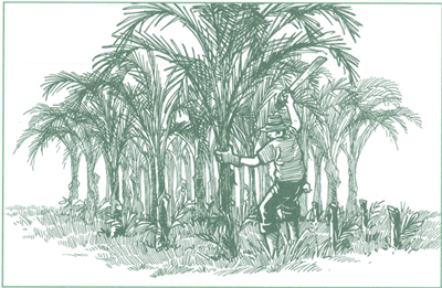 EDUCACI&Oacute;N AMBIENTAL PARA EL TR&Oacute;PICO DE COCHABAMBA