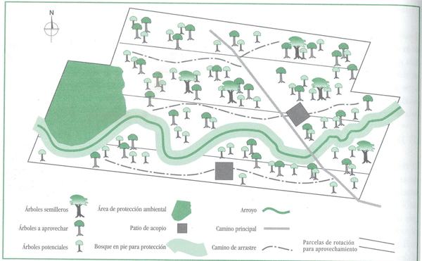 EDUCACI&Oacute;N AMBIENTAL PARA EL TR&Oacute;PICO DE COCHABAMBA
