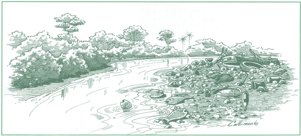 EDUCACI&Oacute;N AMBIENTAL PARA EL TR&Oacute;PICO DE COCHABAMBA