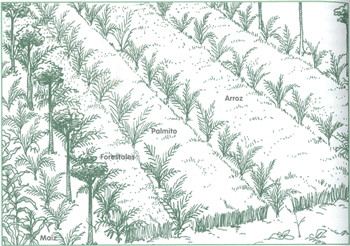 EDUCACI&Oacute;N AMBIENTAL PARA EL TR&Oacute;PICO DE COCHABAMBA