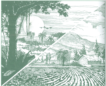 EDUCACI&Oacute;N AMBIENTAL PARA EL TR&Oacute;PICO DE COCHABAMBA