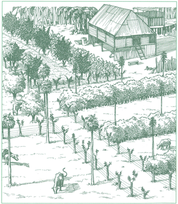 EDUCACI&Oacute;N AMBIENTAL PARA EL TR&Oacute;PICO DE COCHABAMBA