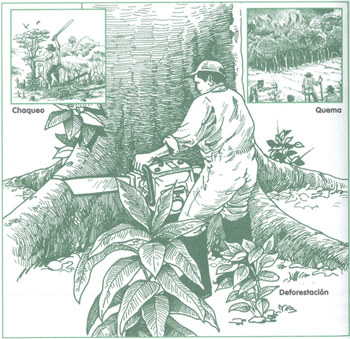EDUCACI&Oacute;N AMBIENTAL PARA EL TR&Oacute;PICO DE COCHABAMBA