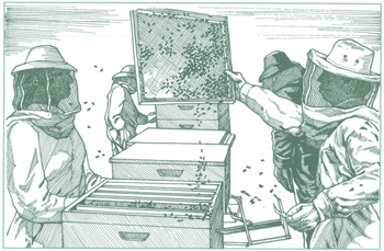 EDUCACI&Oacute;N AMBIENTAL PARA EL TR&Oacute;PICO DE COCHABAMBA