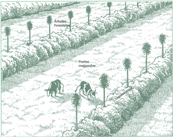 EDUCACI&Oacute;N AMBIENTAL PARA EL TR&Oacute;PICO DE COCHABAMBA