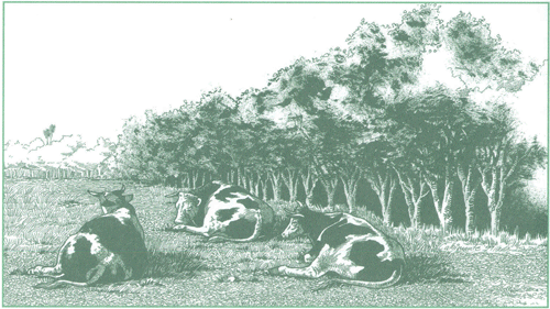 EDUCACI&Oacute;N AMBIENTAL PARA EL TR&Oacute;PICO DE COCHABAMBA