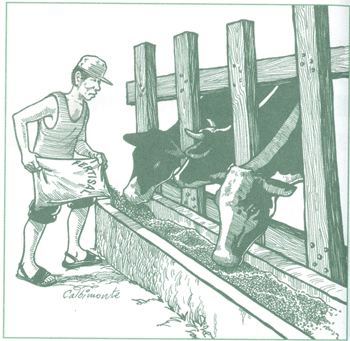 EDUCACI&Oacute;N AMBIENTAL PARA EL TR&Oacute;PICO DE COCHABAMBA