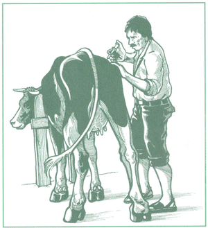 EDUCACI&Oacute;N AMBIENTAL PARA EL TR&Oacute;PICO DE COCHABAMBA