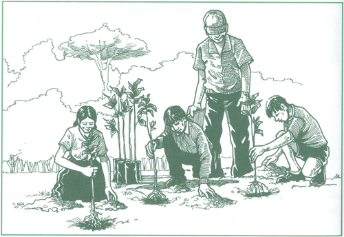 EDUCACI&Oacute;N AMBIENTAL PARA EL TR&Oacute;PICO DE COCHABAMBA