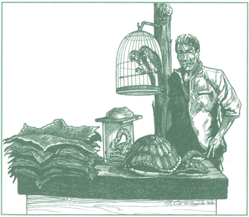 EDUCACI&Oacute;N AMBIENTAL PARA EL TR&Oacute;PICO DE COCHABAMBA