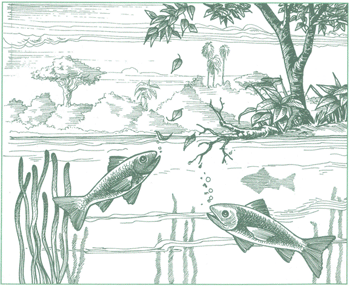 EDUCACI&Oacute;N AMBIENTAL PARA EL TR&Oacute;PICO DE COCHABAMBA