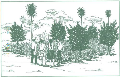 EDUCACI&Oacute;N AMBIENTAL PARA EL TR&Oacute;PICO DE COCHABAMBA