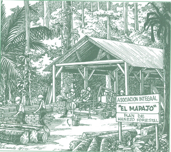 EDUCACI&Oacute;N AMBIENTAL PARA EL TR&Oacute;PICO DE COCHABAMBA