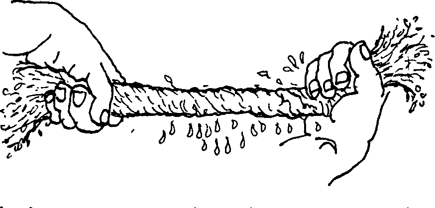 SELF-TEACHING MANUAL IN HAIR SHEEP PRODUCTION
