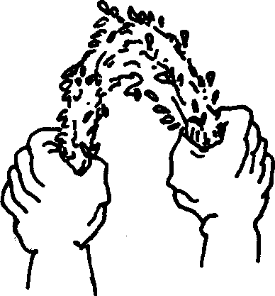 SELF-TEACHING MANUAL IN HAIR SHEEP PRODUCTION