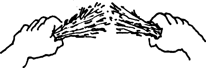 SELF-TEACHING MANUAL IN HAIR SHEEP PRODUCTION