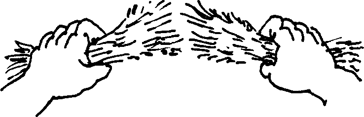 SELF-TEACHING MANUAL IN HAIR SHEEP PRODUCTION