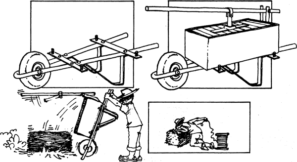SELF-TEACHING MANUAL IN HAIR SHEEP PRODUCTION