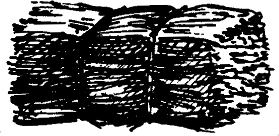 SELF-TEACHING MANUAL IN HAIR SHEEP PRODUCTION