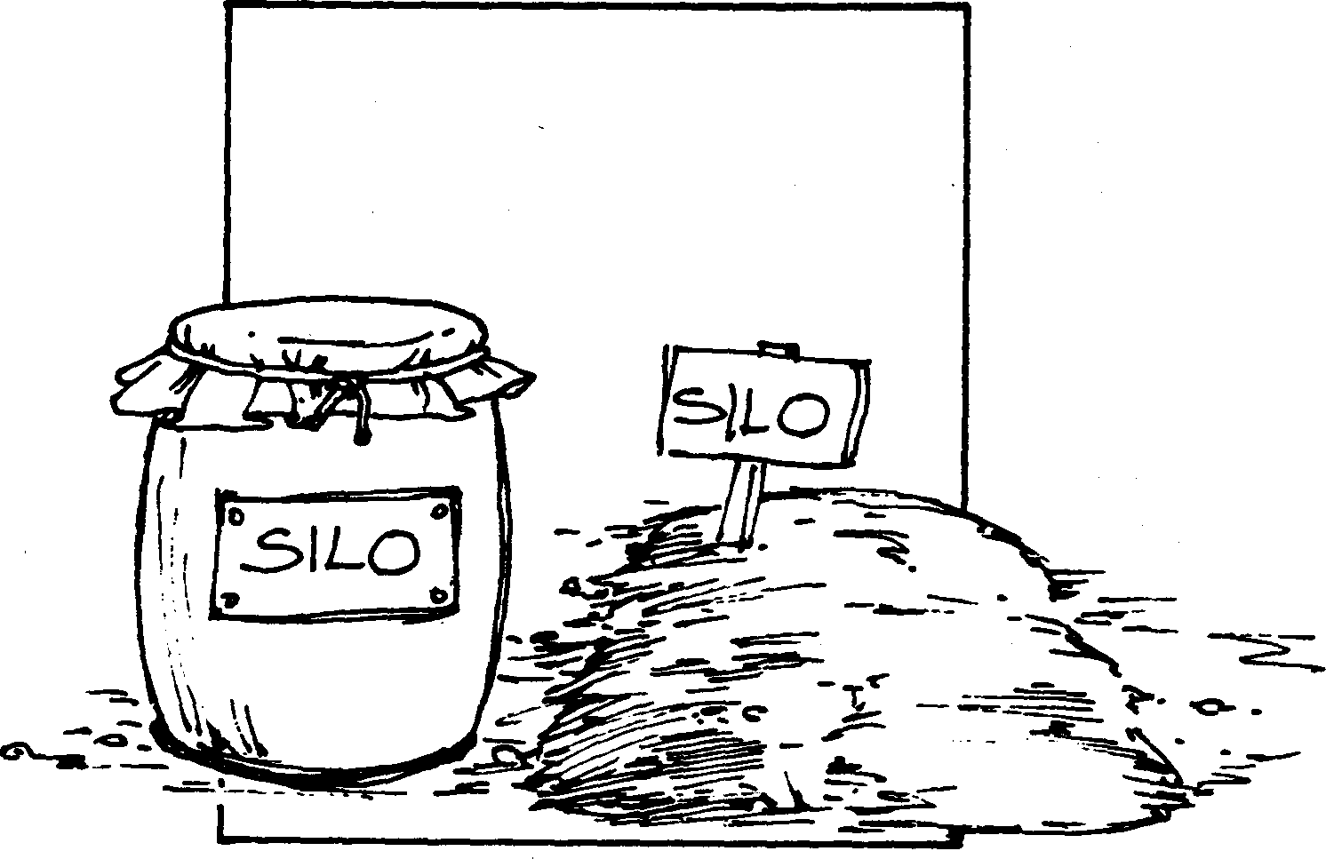 SELF-TEACHING MANUAL IN HAIR SHEEP PRODUCTION