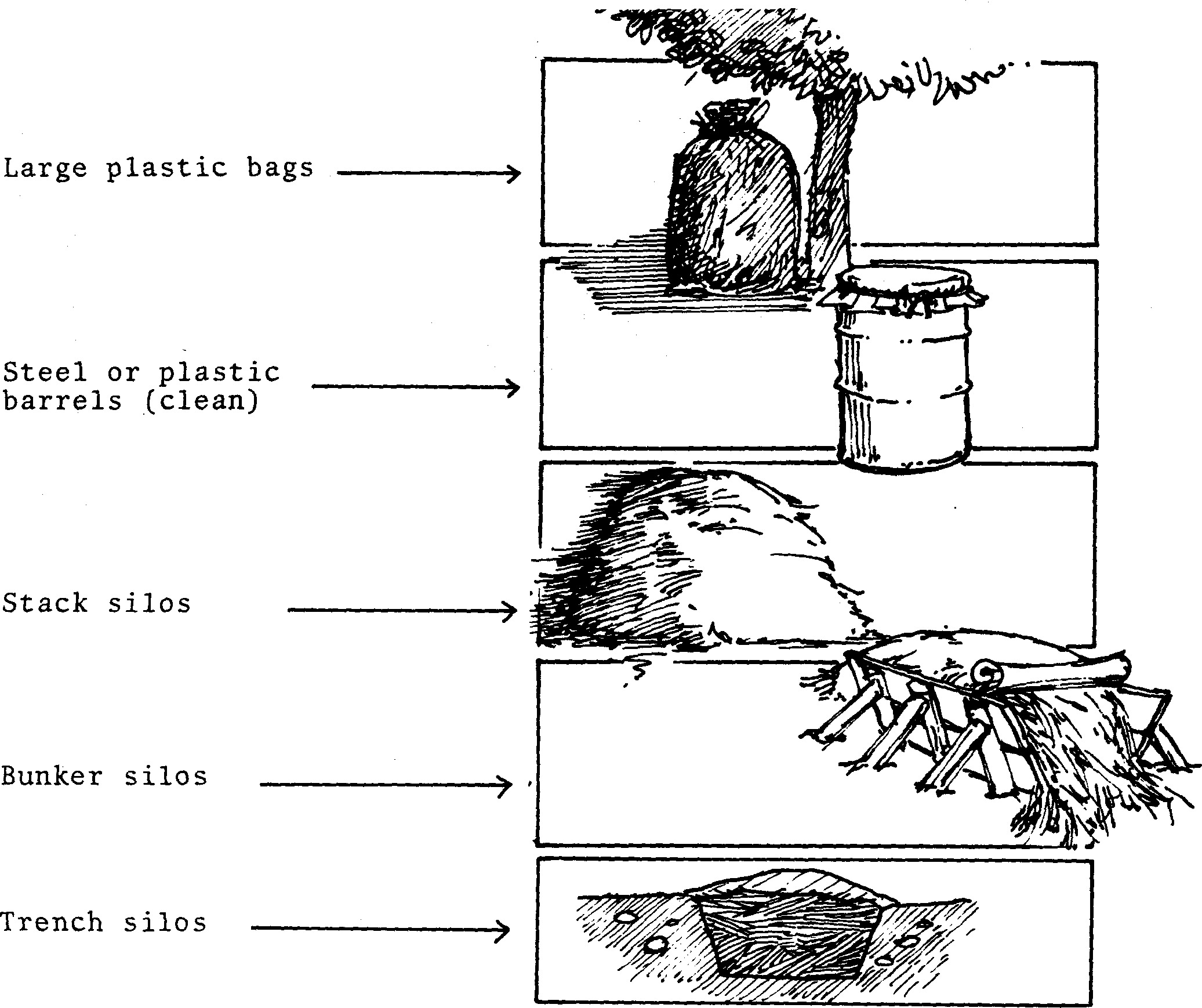 SELF-TEACHING MANUAL IN HAIR SHEEP PRODUCTION
