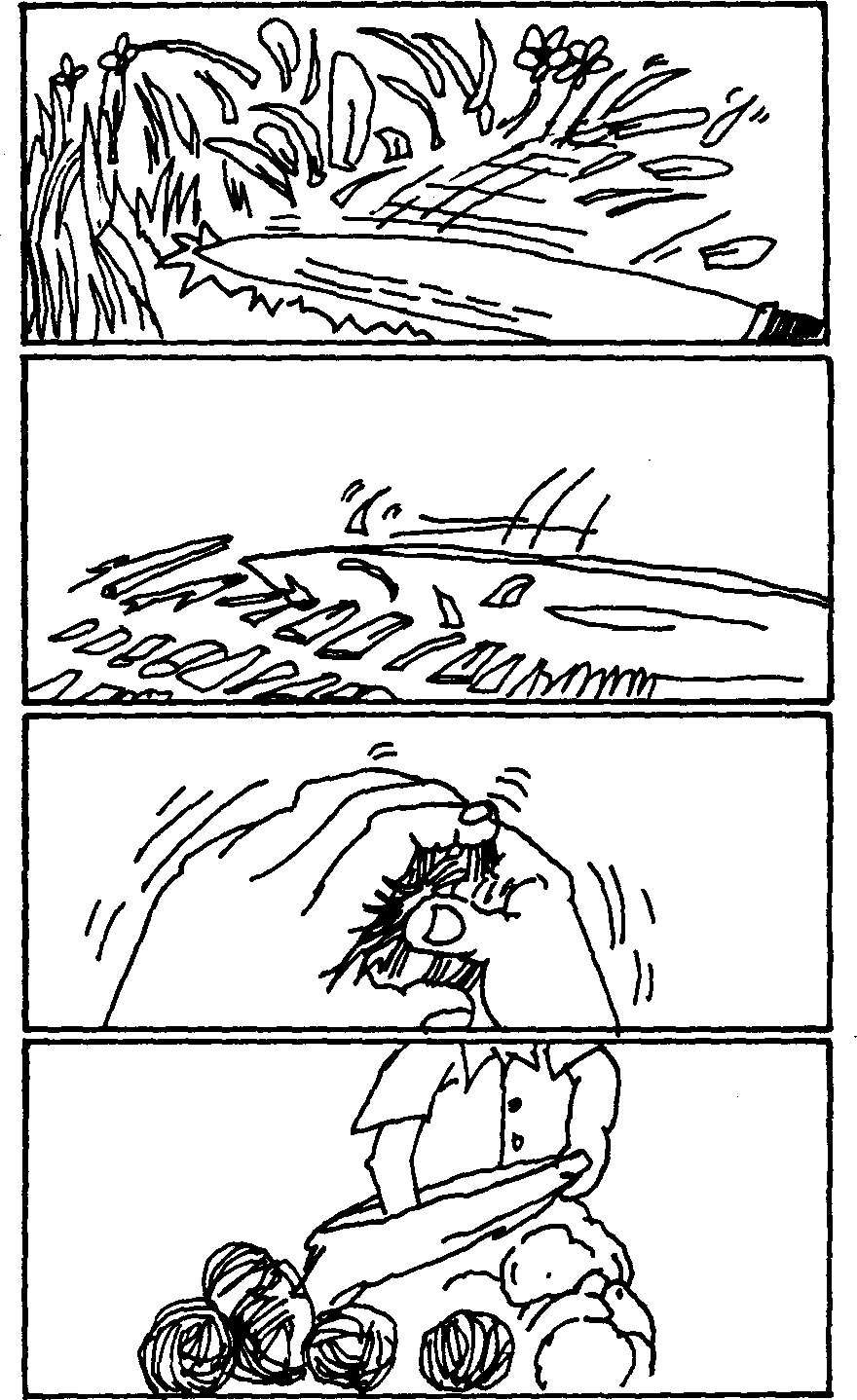 SELF-TEACHING MANUAL IN HAIR SHEEP PRODUCTION