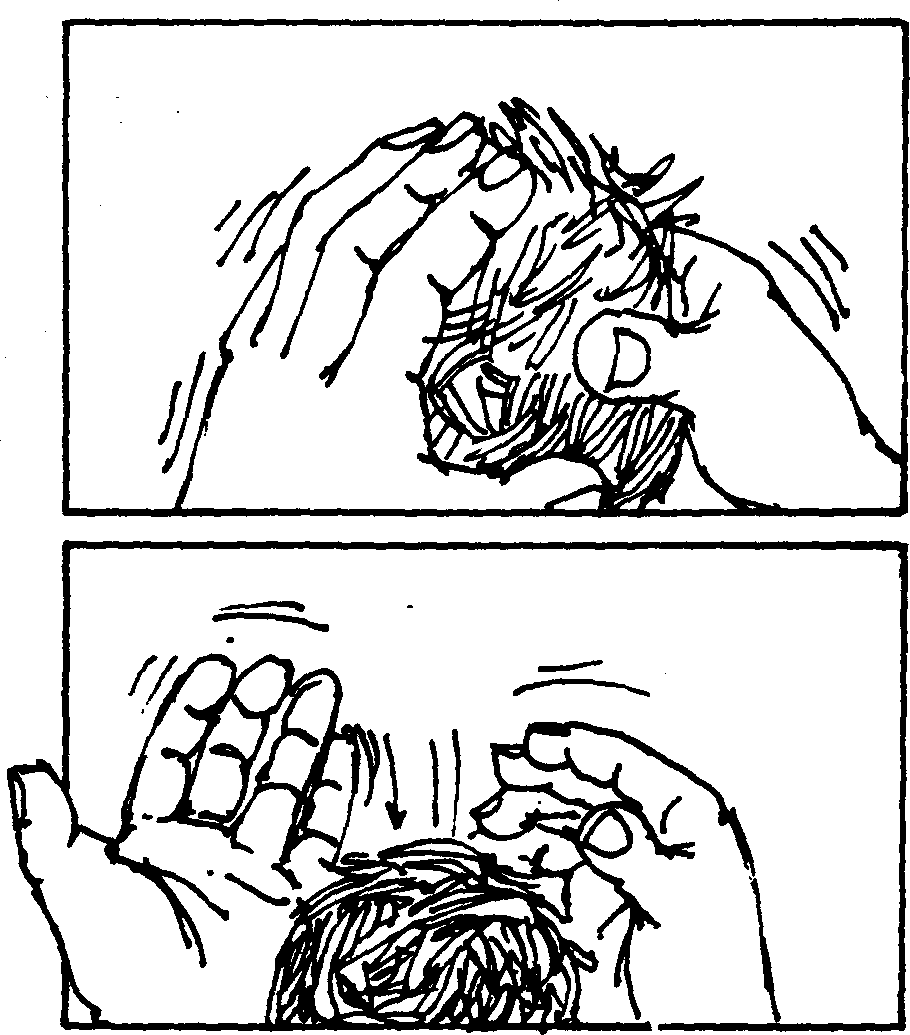 SELF-TEACHING MANUAL IN HAIR SHEEP PRODUCTION