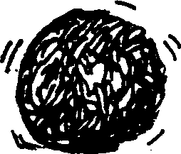 SELF-TEACHING MANUAL IN HAIR SHEEP PRODUCTION