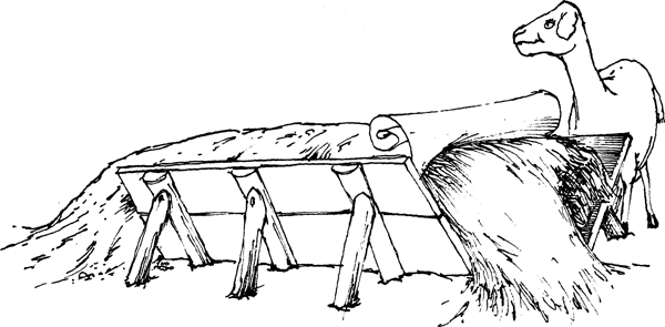 SELF-TEACHING MANUAL IN HAIR SHEEP PRODUCTION