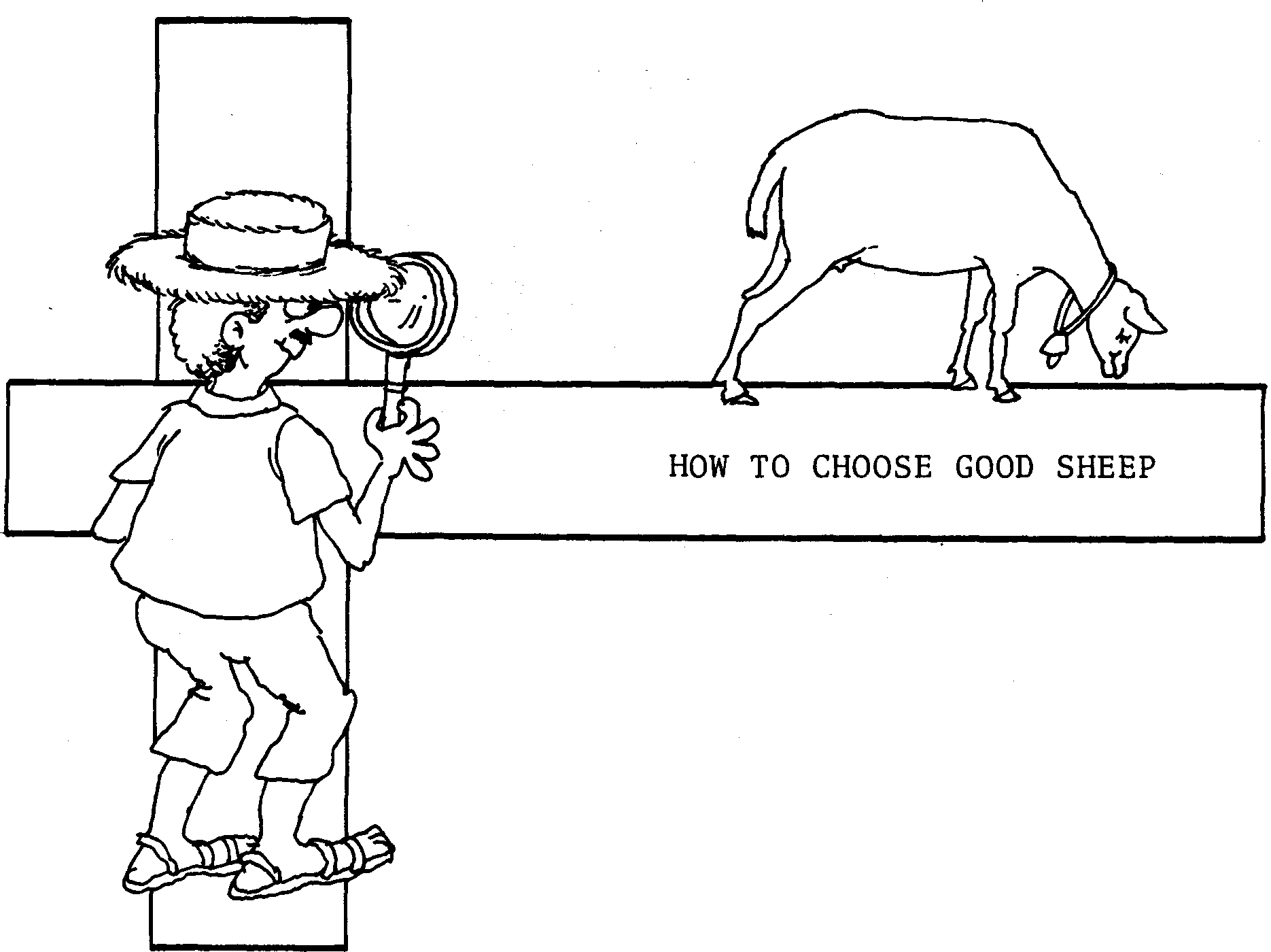 SELF-TEACHING MANUAL IN HAIR SHEEP PRODUCTION