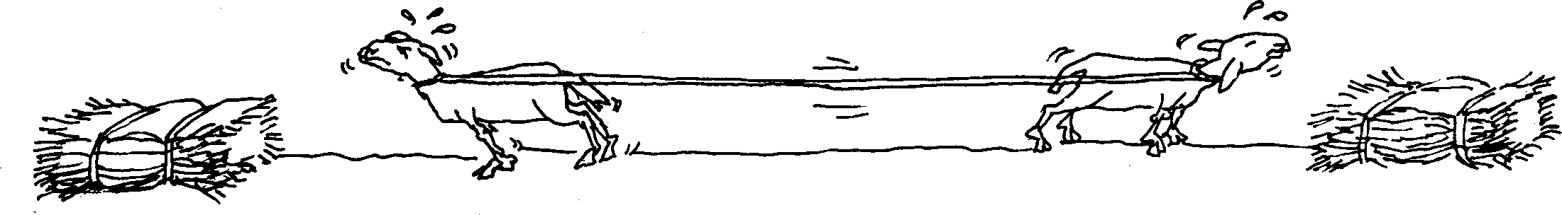 SELF-TEACHING MANUAL IN HAIR SHEEP PRODUCTION