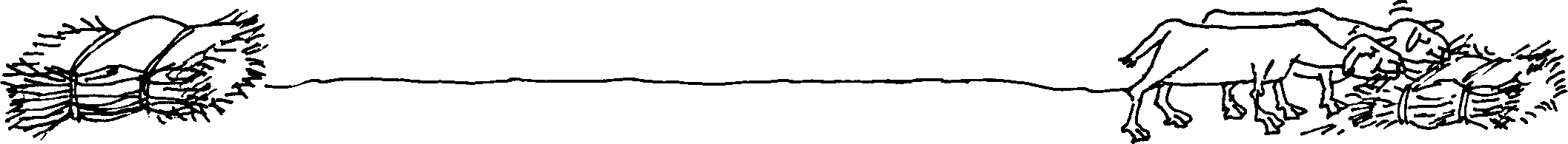 SELF-TEACHING MANUAL IN HAIR SHEEP PRODUCTION