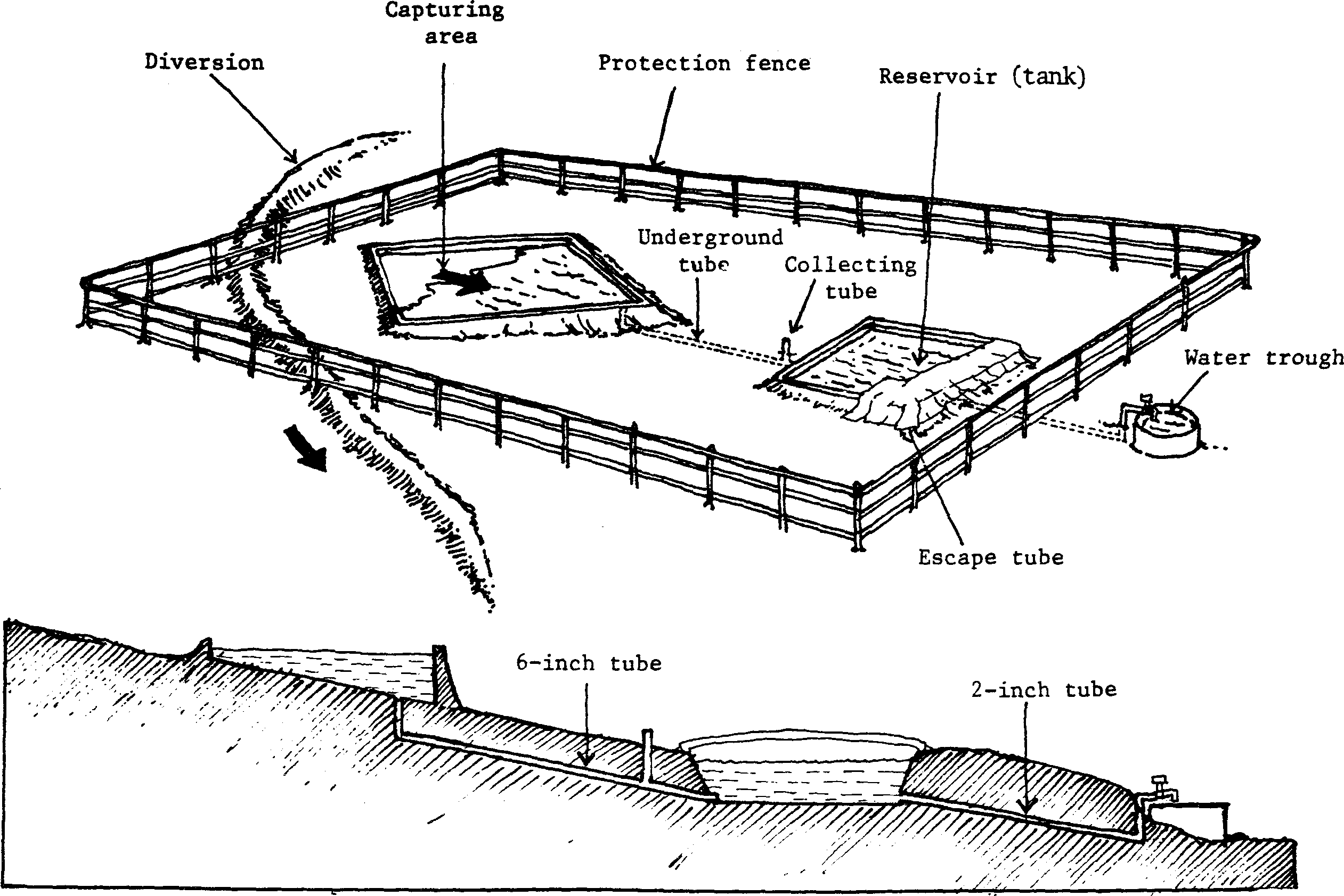 SELF-TEACHING MANUAL IN HAIR SHEEP PRODUCTION