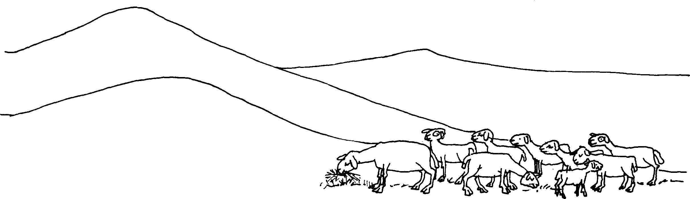 SELF-TEACHING MANUAL IN HAIR SHEEP PRODUCTION