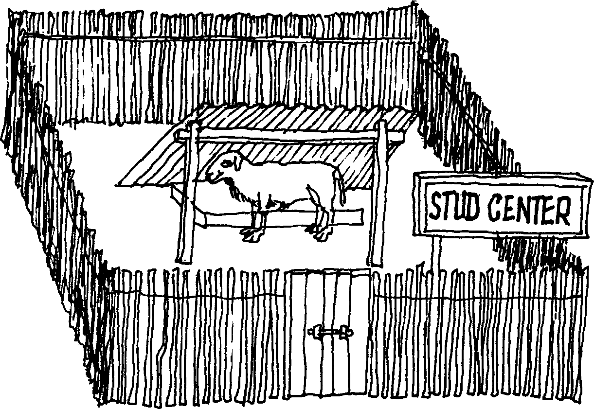 SELF-TEACHING MANUAL IN HAIR SHEEP PRODUCTION