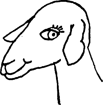 SELF-TEACHING MANUAL IN HAIR SHEEP PRODUCTION