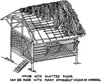 SELF-TEACHING MANUAL IN HAIR SHEEP PRODUCTION