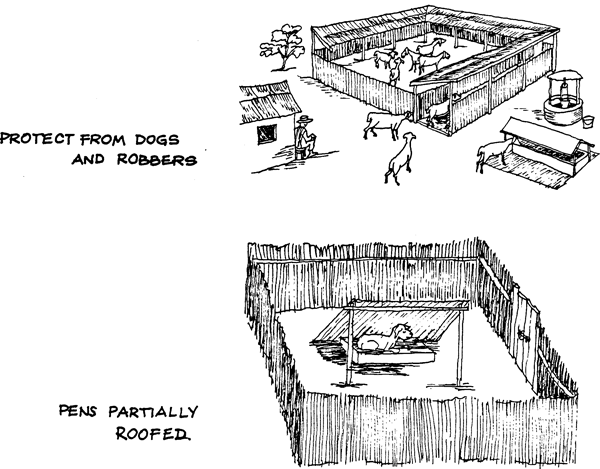 SELF-TEACHING MANUAL IN HAIR SHEEP PRODUCTION
