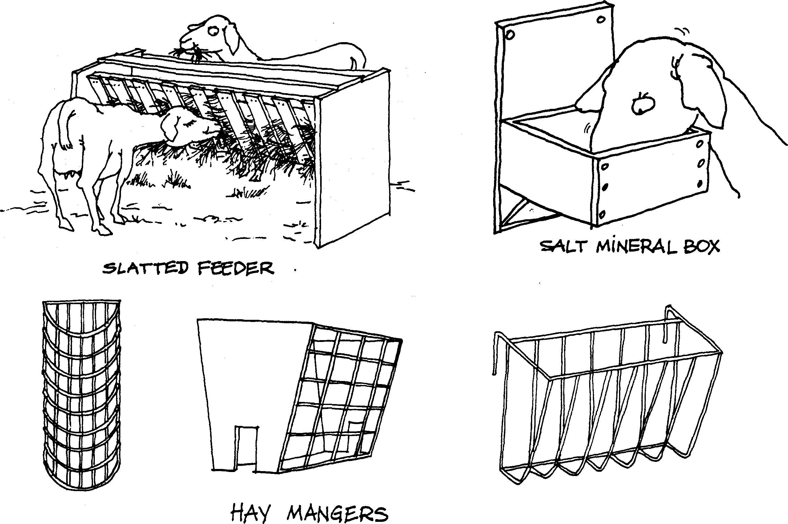 SELF-TEACHING MANUAL IN HAIR SHEEP PRODUCTION