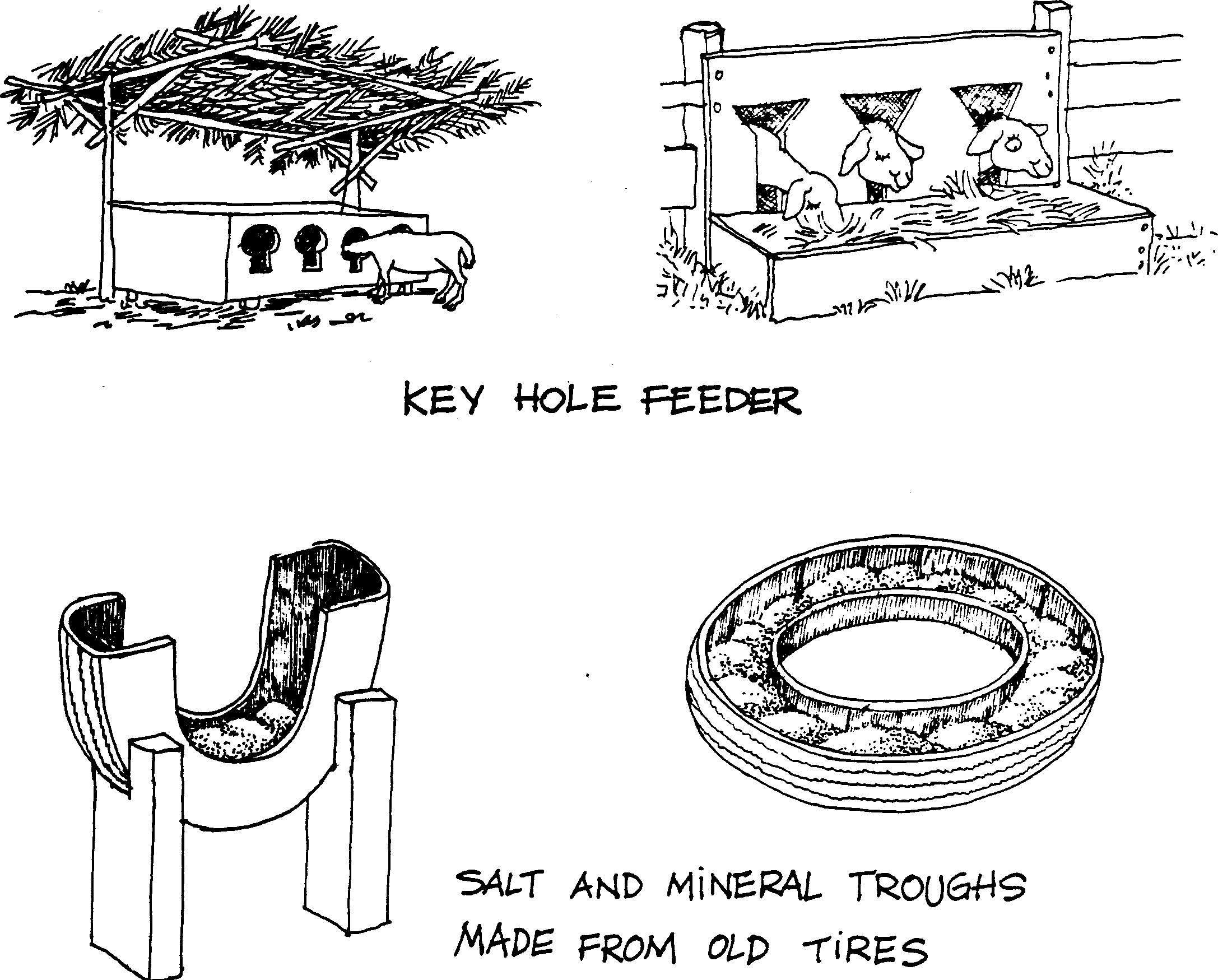 SELF-TEACHING MANUAL IN HAIR SHEEP PRODUCTION