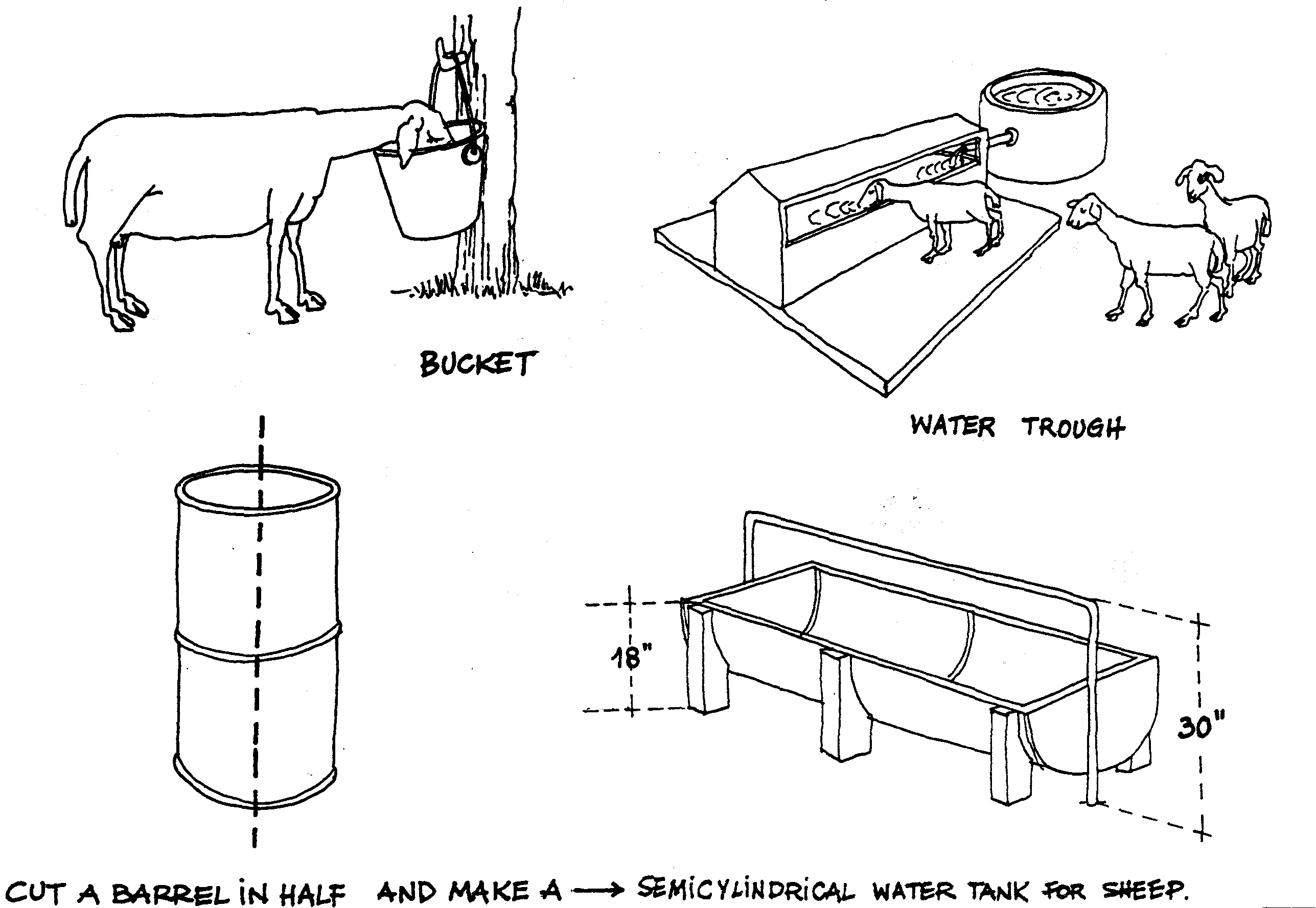 SELF-TEACHING MANUAL IN HAIR SHEEP PRODUCTION